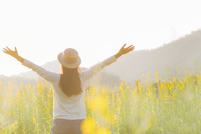 descubra o poder da gratidao e transforme sua vida hoje mesmo