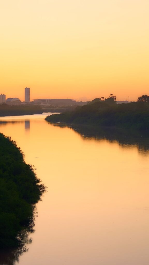 Mundo das Palavras Viagem Poetica em Cuiba